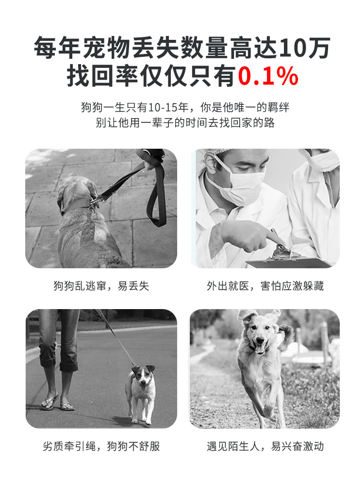 狗狗牵引绳背心式宠物胸背带透气网布花朵遛狗绳防挣脱猫绳子厂家详情2