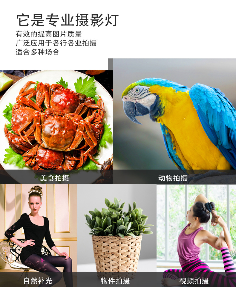 19-inch LED photography, beauty and fill light, home, outdoor, camping, live streaming, gaming, karaoke, floor-standing tripod pic 5