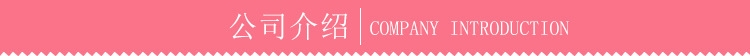 公司介绍