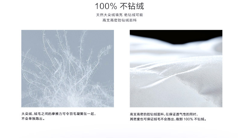 Seven-star hotel supplies: White goose down quilt, high-end down quilt core pic 14