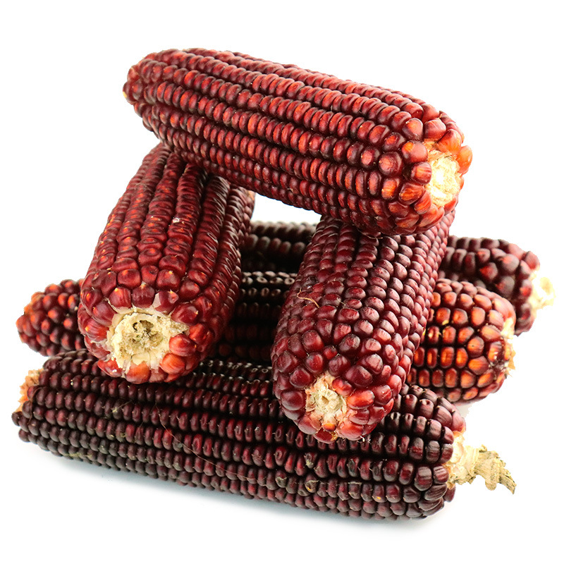 玛瑙玉米20CM