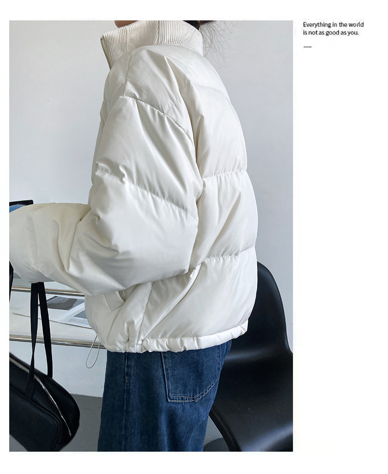Luxi 2022 New Design sense stand-up collar short Down jacket for petite women 90, white duck down jacket Y33 pic 28