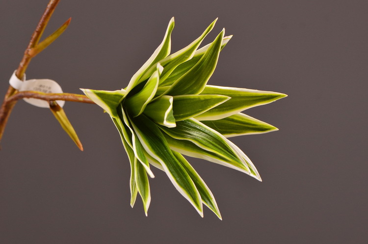 Dongli Factory direct sales, wholesale of artificial flowers, purple mist grass, purple dew grass, home decoration, artificial living room model rooms, artificial flower ornaments, one-piece consignment pic 9