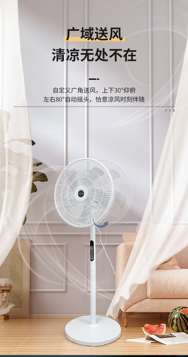 风扇落地扇家用立体式办公宿舍大风力工厂礼品批发遥控定时电风扇详情13