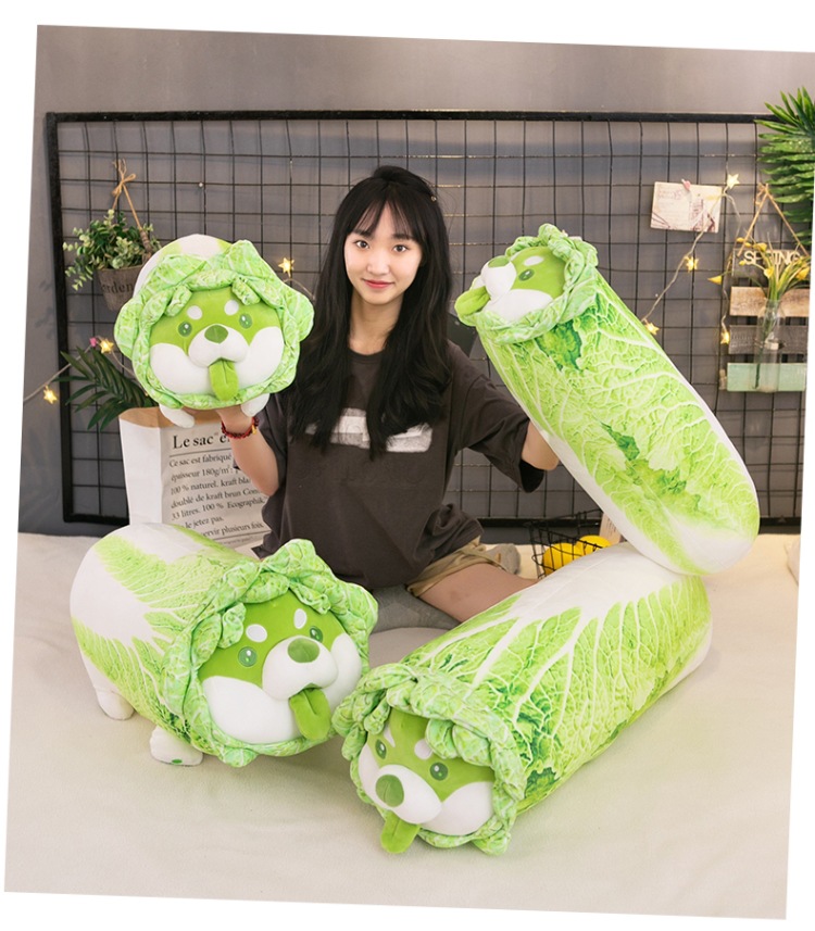 Wholesale of creative cartoon vegetable dog dolls, cabbage dog cushions and plush toys of the same style as those on Xiaohongshu pic 16