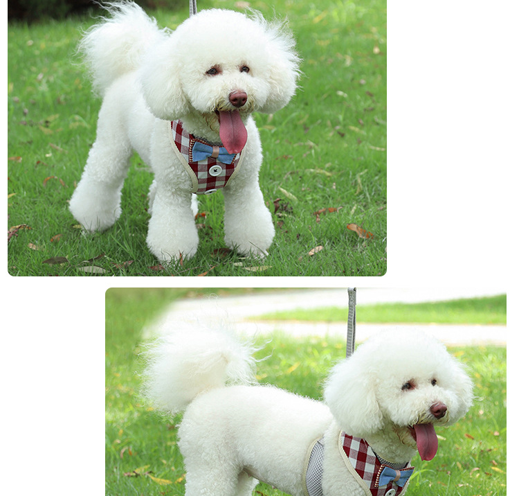 Pet supplies, pet supplies, pet cat supplies, anti-break, breathable, adjustable cat chest and back straps, vest-type cat leashes, cat lashes pic 11