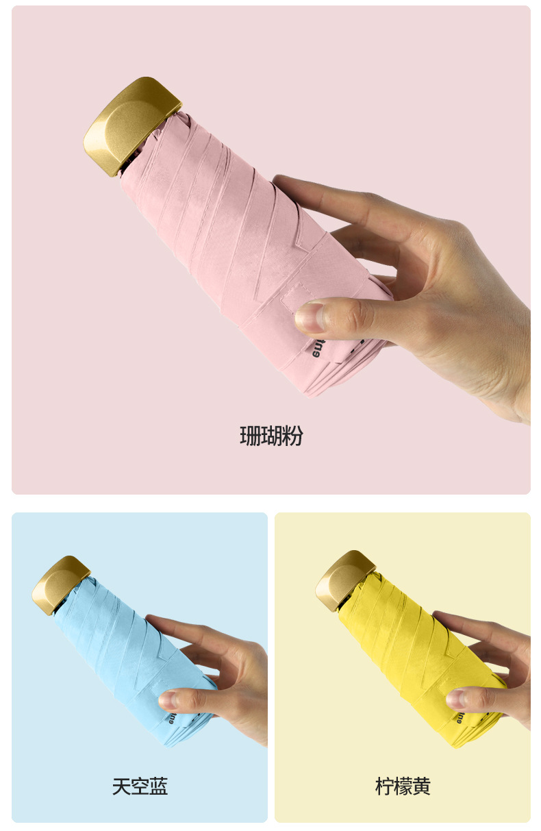 扁伞_15