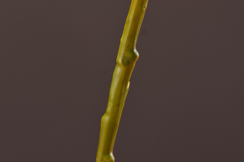 Wholesale of artificial large-branch peonies for home, hotel, restaurant soft decoration, artificial flowers and artificial paeonies from the manufacturer pic 11