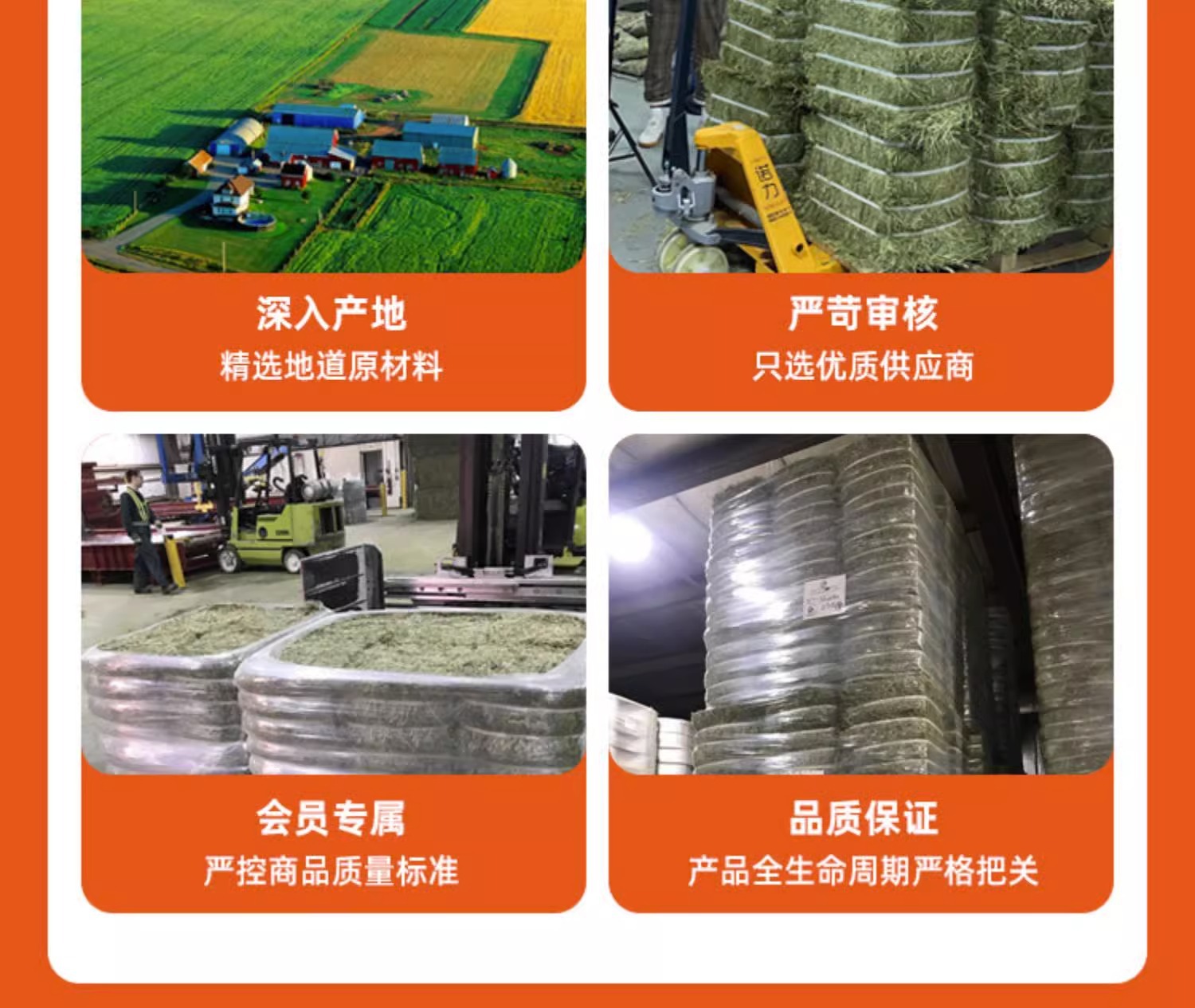 小宠物兔子猫咪仓鼠荷兰猪龙猫解闷玩具 天然草编苹果枝条磨牙用品 玉米味道新鲜营养不闷详情7