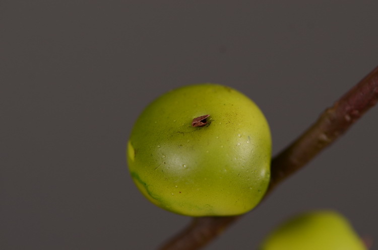 Artificial rosehip, artificial plant fruit, berry, American decorative floral arrangement materials, photography props pic 32