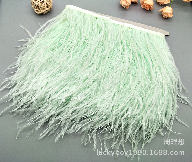 Wholesale 8-10 cm ostrich wool fabric edge colored feather fabric tape, clothing decoration tape fabric edge ostrich ribbon pic 40