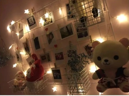 Small black mesh, black dipped plastic mesh, grid mesh, iron wire welded mesh, edge clamped mesh, grid photo wall pic 14