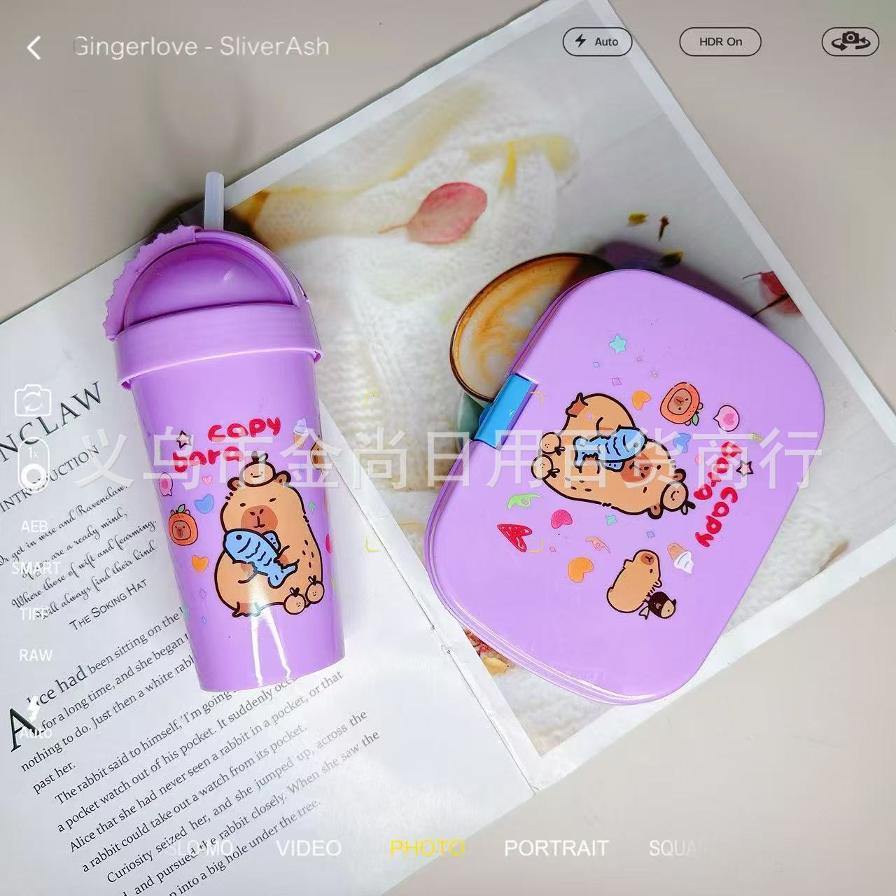 卡通卡皮巴拉饭盒家用儿童可爱卡通饭盒学生专用午饭儿童饭盒详情1