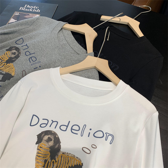 Playful and youthful embroidered printed puppy loose straight top straight-shoulder round-neck long-sleeved T-shirt for women 2025 early Spring G021418 pic 45