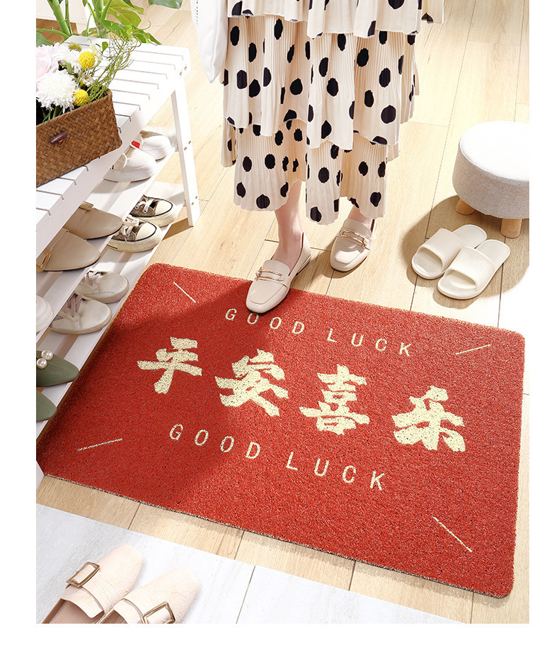 Estera de entrada China estera de piso estera de entrada doméstica estera de suelo alfombra resistente al desgaste antideslizante pvc red mat pic 1