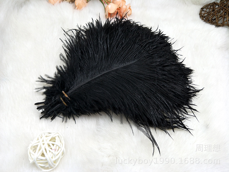 Colorful ostrich feathers 15-20cm, mask feathers, DIY accessories, wedding decoration props, ear-picking accessories, colorful feathers pic 37