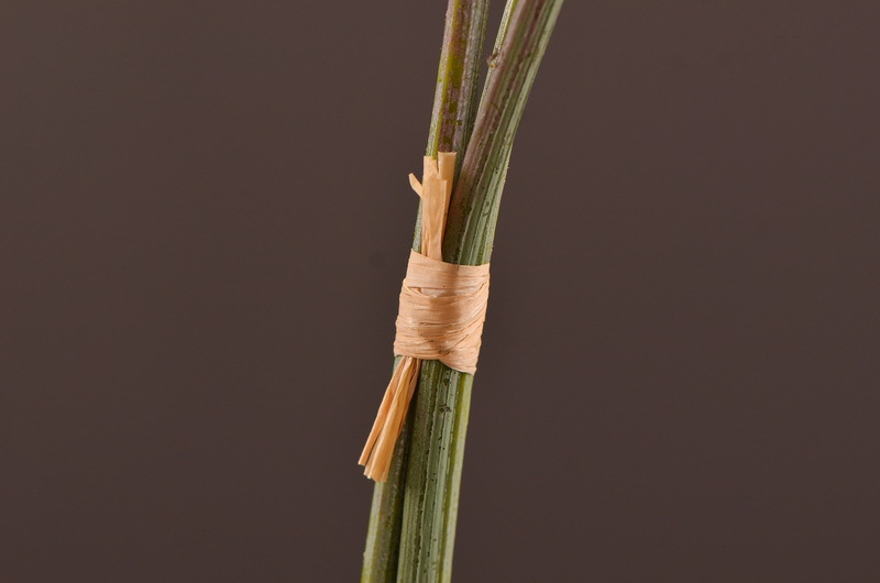 Original factory products, artificial fruits, flower arrangement materials, wabi-sabi style, simple country style, artificial fruits wholesale, artificial flowers pic 8