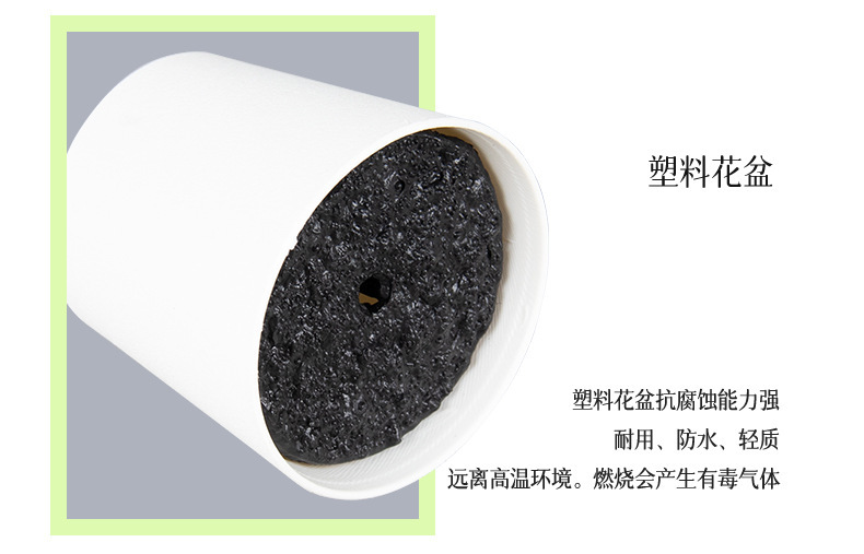 Cross-border home decoration mini plastic potted plant combination Pu turtle-back bamboo green plant sweet potato leaf artificial flower simulation potted plant pic 23