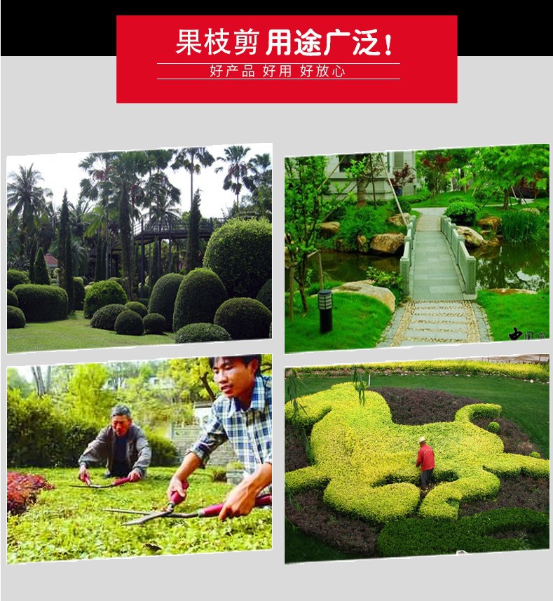 台湾青藤木园林剪刀 修枝剪 果枝剪 防滑耐磨黑黄手柄 花枝修剪详情17