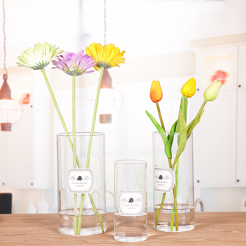 Nordic straight tube vase, simple transparent glass vase, home fresh flowers, hydroponic decoration, living room glass vase ornaments pic 4