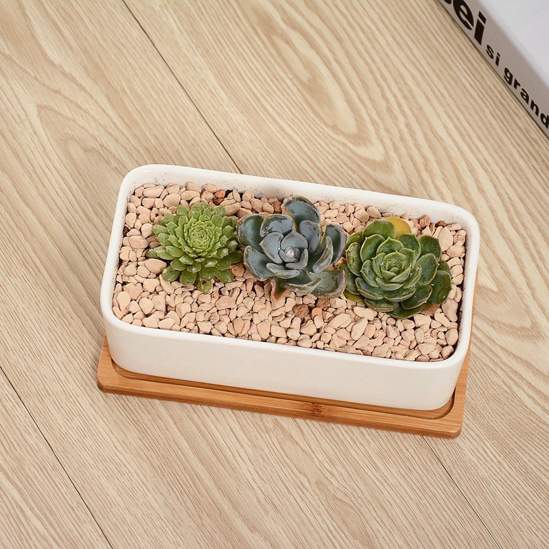 Best-selling succulent plant ceramic flowerpots, simple succulent flowerpots, creative rectangular POTS, white porcelain flowerpots pic 3