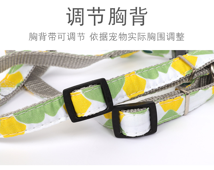 Pet supplies, pet supplies, pet dog leashes, fresh and clean printed dog walking leashes, dog leashes, adjustable dog leashes, dog carriers pic 10