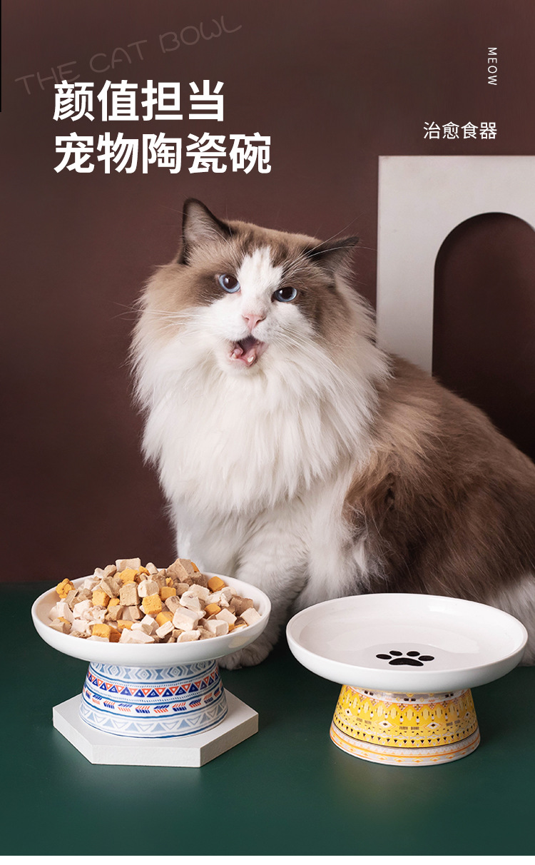 亚马逊陶瓷猫碗高脚护颈椎猫粮碗猫盆饮水碗宠物零食碗波西米亚风详情1