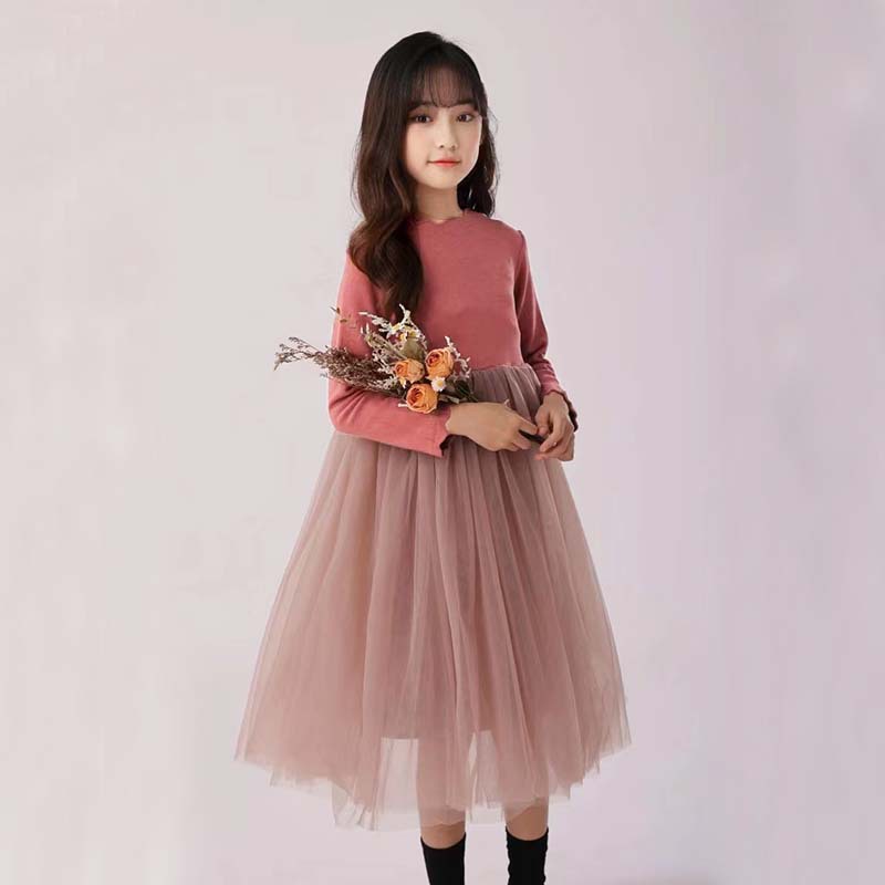 微信图片_20231220115054