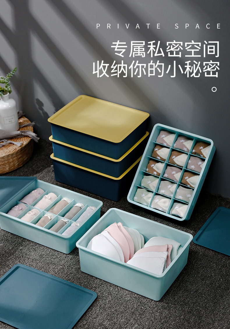 Underwear storage box, multi-functional miscellaneous items, underwear storage cabinet, essential storage box for student dormitories, cosmetic box 0750 pic 1