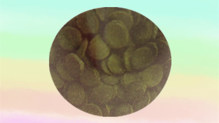 Baojie exports fish feed, Spirulina wafers, fish food, spirulina wafers, fish grain wholesale pic 28