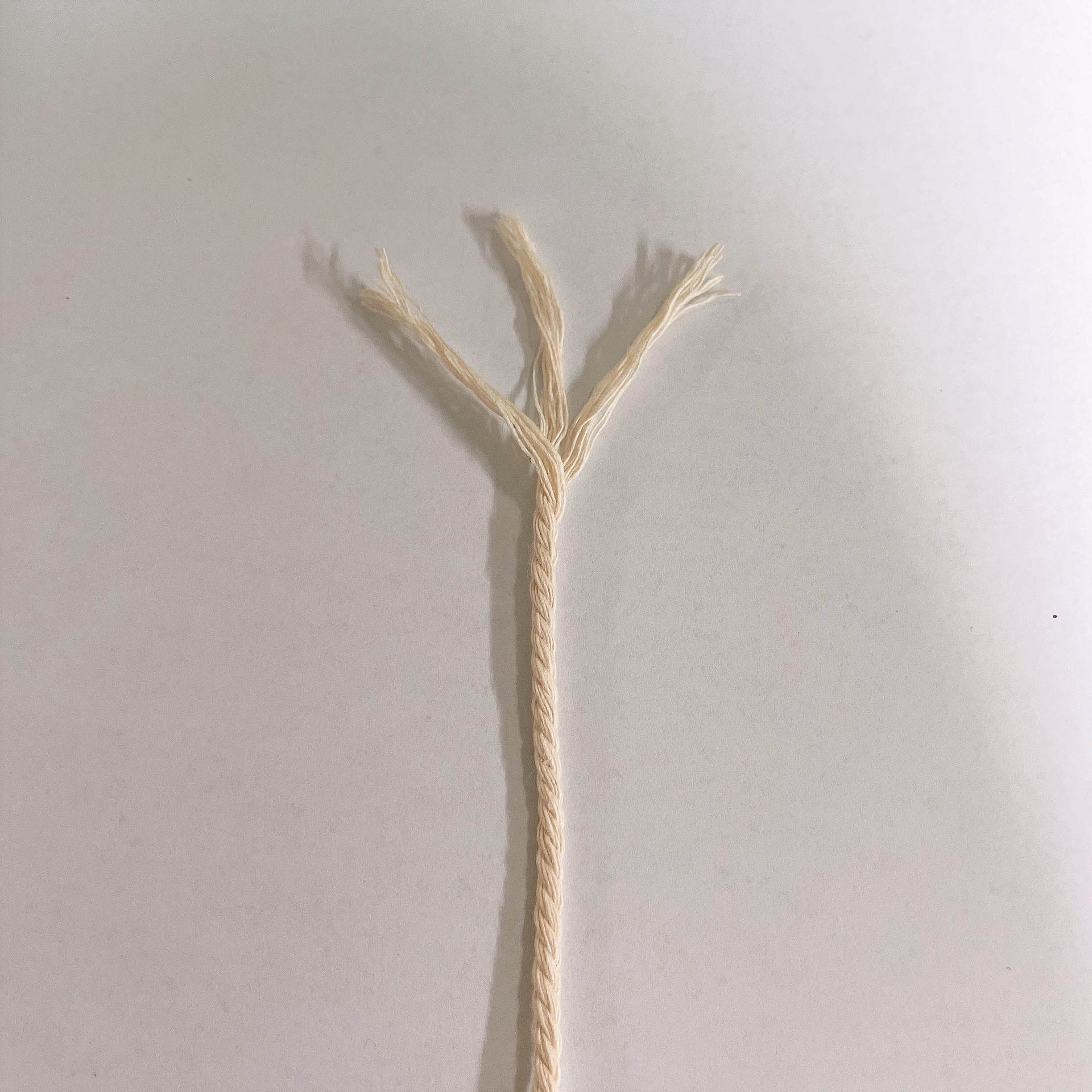 IMG_8898(20211118-133852)