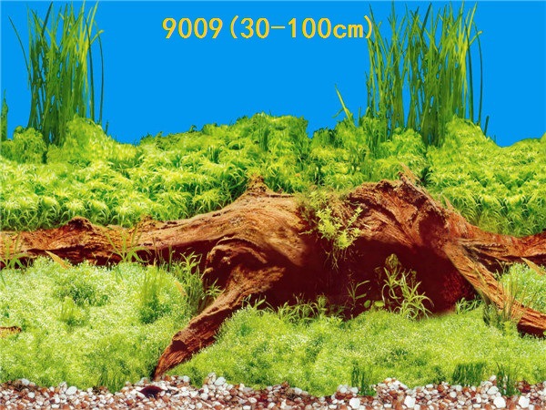 Wholesale production of 60cm high single-sided thin paintings, various ecological aquarium background paintings. Craft paintings. Aquarium equipment pic 36
