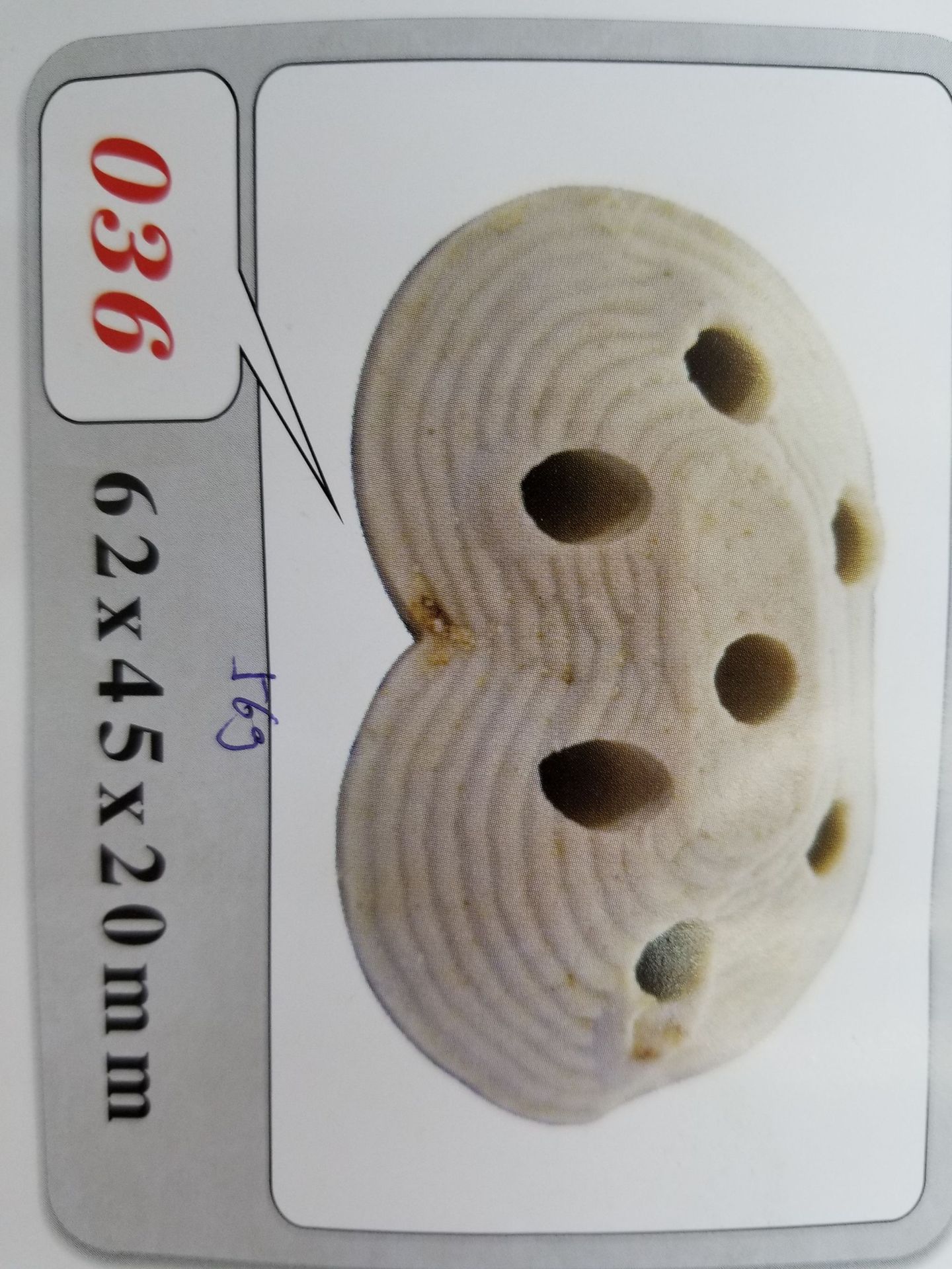 Baojie Aquarium Base, simulation aquatic plant base, fish tank aquatic plant base, ceramic base manufacturer wholesale pic 63