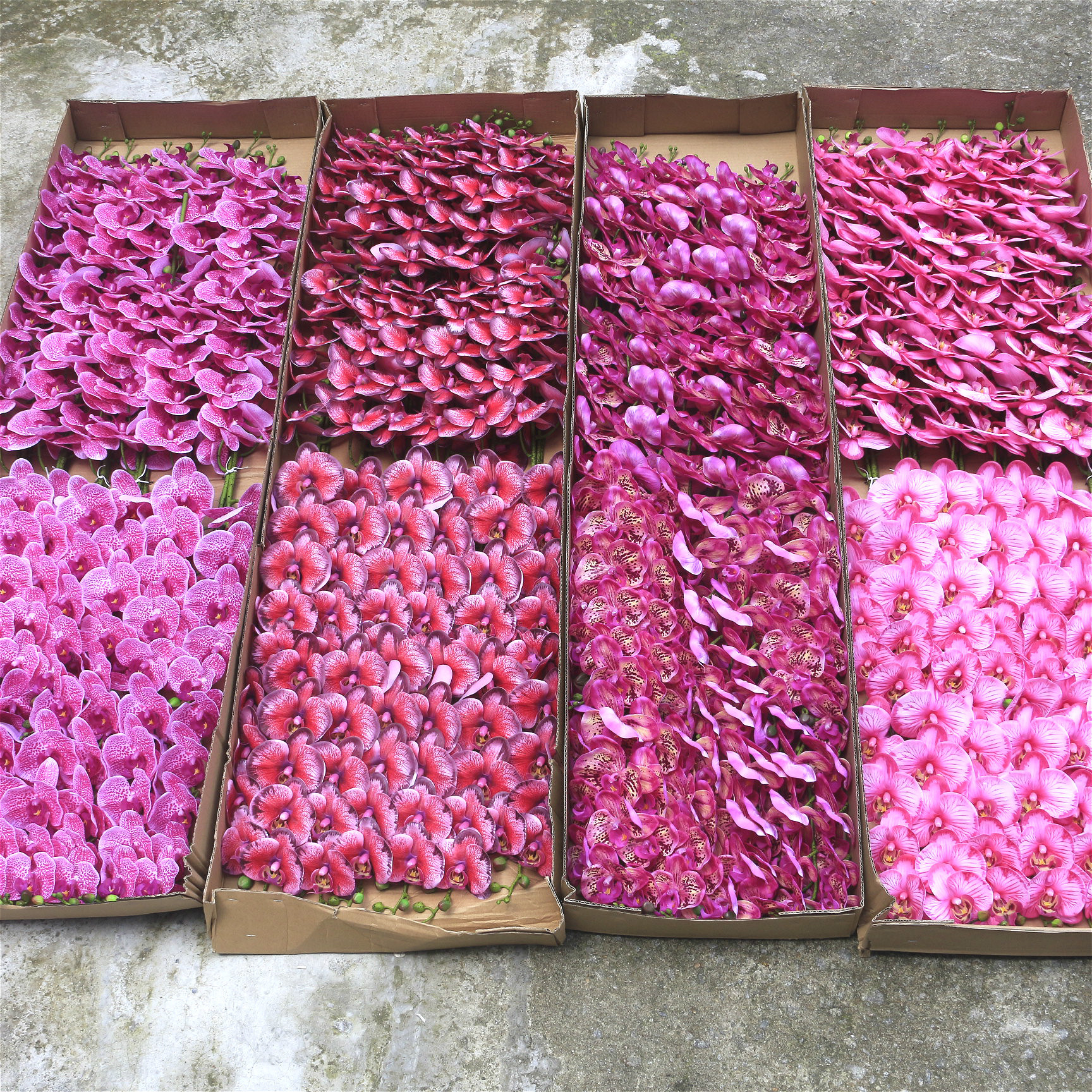 Artificial flowers, artificial lawns, artificial trees, artificial flowers, artificial lawns, artificial trees, artificial phalaenopsis, single 5-head, 7-head, 9-head, 3D phalaenopsis, PU artificial flowers wholesale, home and wedding artificial flowers pic 12