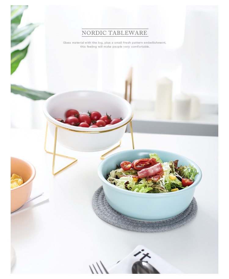 Nordic creative home ceramic pet bowls and food bowls with metal frames that are disassemblable and easy to clean pic 10