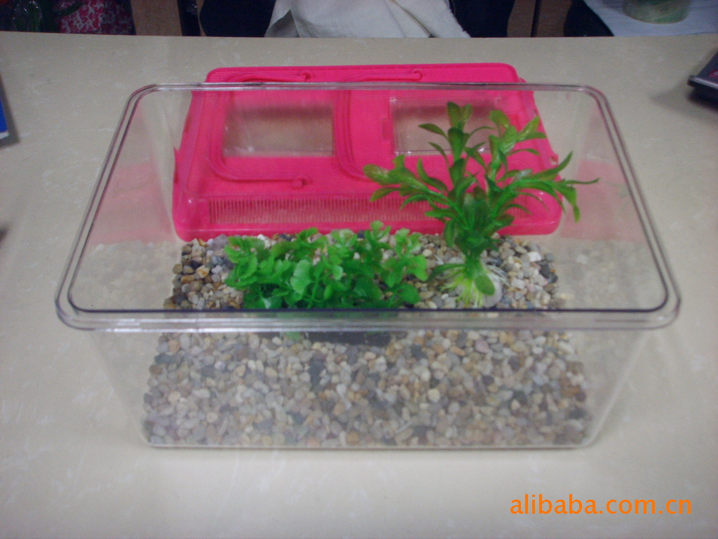 Wholesale of plastic fish tanks for turtle boxes, DS-9809 plastic fish tanks pic 9
