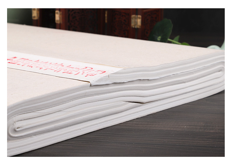 正品红星牌生宣纸四尺书画纸练习书法专用纸六尺毛笔字纸初学生用详情11
