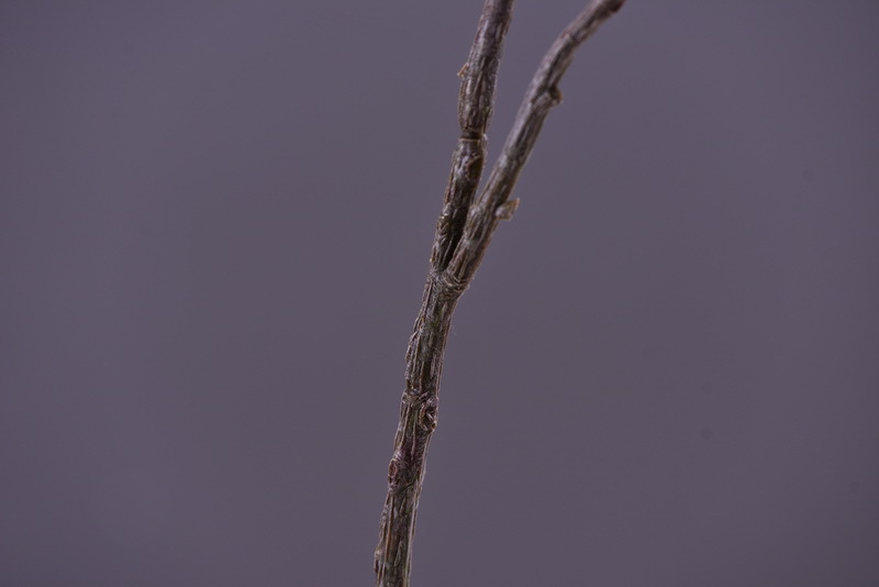 Lanjin Artificial Fruit Factory Direct Sales, wholesale of artificial berries, artificial green vine fruits, Chinese modern and simple decoration, winter green fruits, and mountain prosperity fruits pic 20