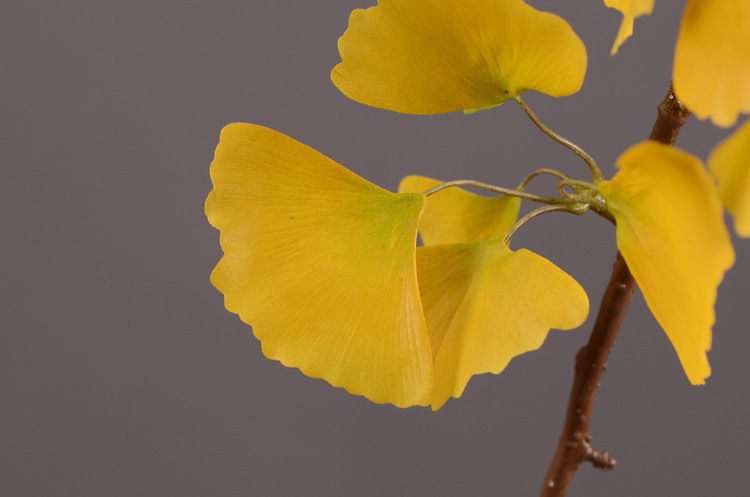 Dongli yellow artificial leaves, artificial ginkgo leaves, artificial trees, engineering landscaping, wedding decoration, artificial branches, Nordic artificial plant leaves pic 25