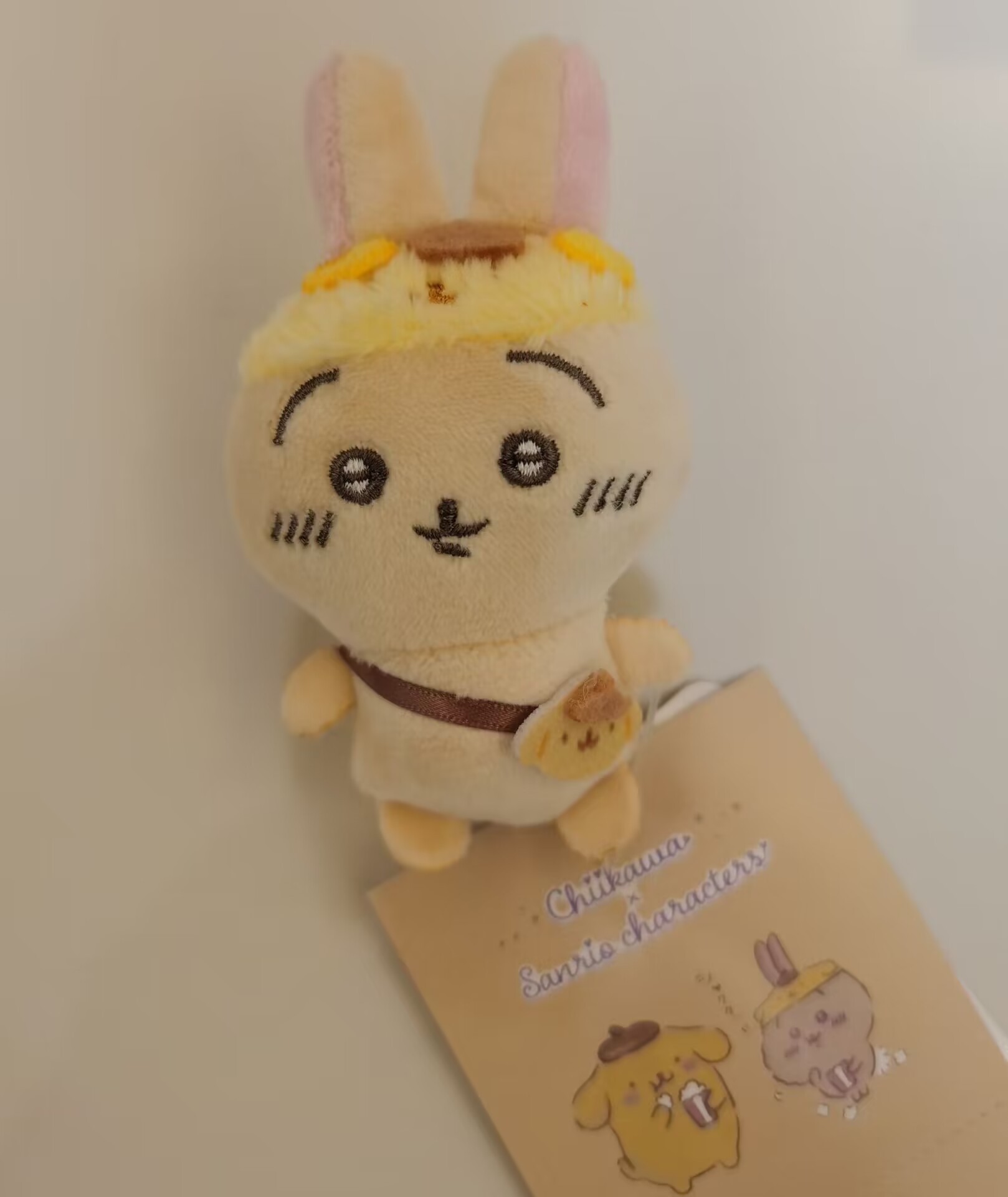 日单自嘲熊玉桂狗乌萨奇库洛米美乐蒂吉伊布丁狗毛绒公仔玩偶挂件详情25