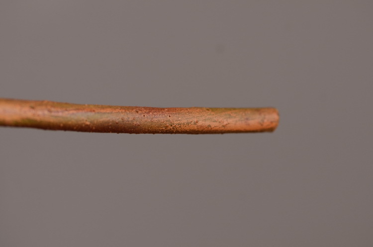 Dongli Source Factory, wholesale and direct sales of artificial plants in stock, wholesale of India leaves, autumn color leaves, hand-held flowers, leaf materials, props, flower art, bonsai, home decoration flowers pic 21