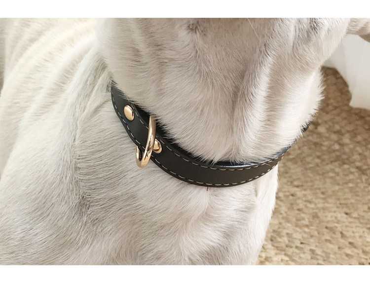 Fatou golden hair teddy collar de perro pequeño y mediano collar de cuello de PU lindo collar de cuello de mascota ajustable collar de gato pic 14