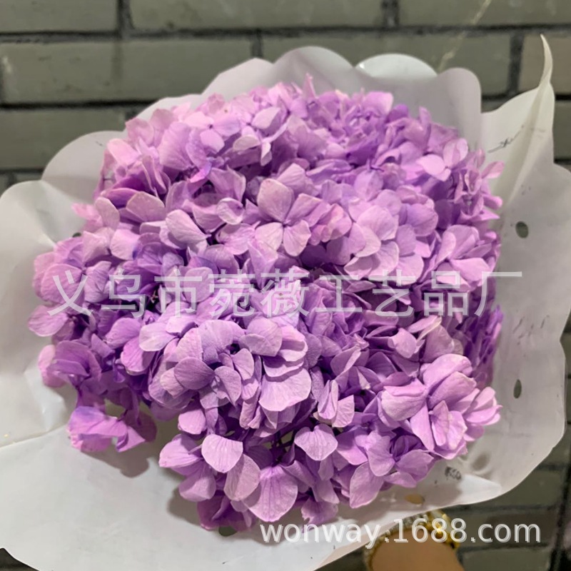 Natural plant, evergreen, large-leaf hydrangea, flower arrangement, handicrafts, soft furnishing grass pic 1