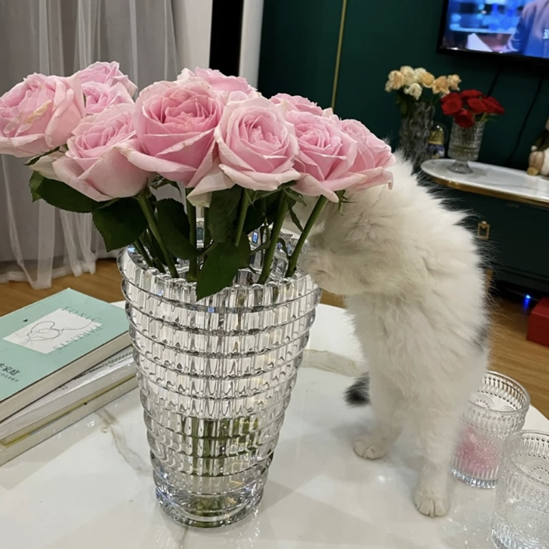 巴卡拉水晶花瓶Baccarat璀璨系列同款插花花瓶摆件北欧家居客厅餐桌装饰摆件详情4