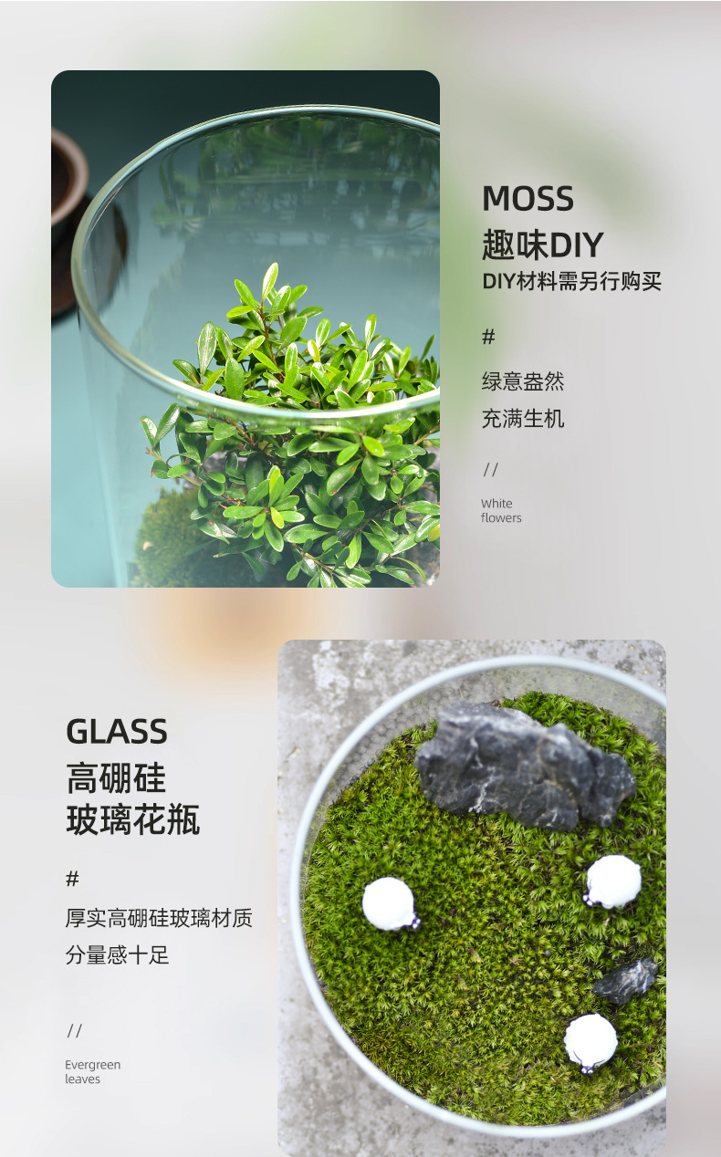 Wholesale transparent micro-landscape glass vase ornaments, hydroponic ecological bottles, diy moss tanks, succulent flower POTS, glass jars pic 13