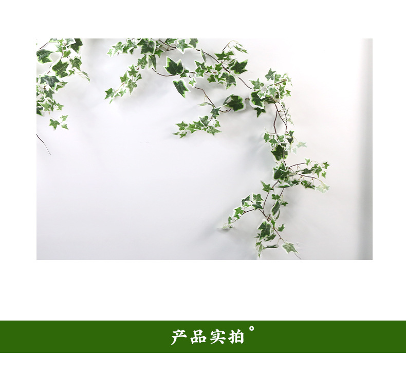 未标题-2_10.jpg
