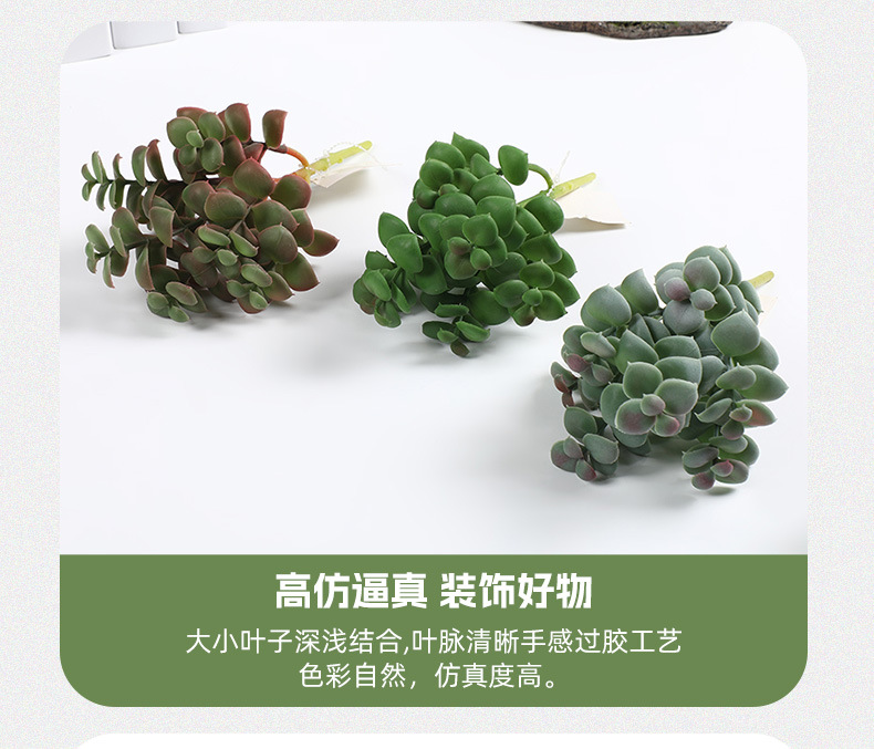 新款仿真塑料多肉 逼真手感插花多肉园艺装饰多肉绿植多头组合批发详情8