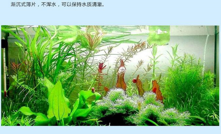 批发宝杰FD Brine shrimp冻干丰年虾做出口贸易鱼饲料鱼粮鱼食详情3