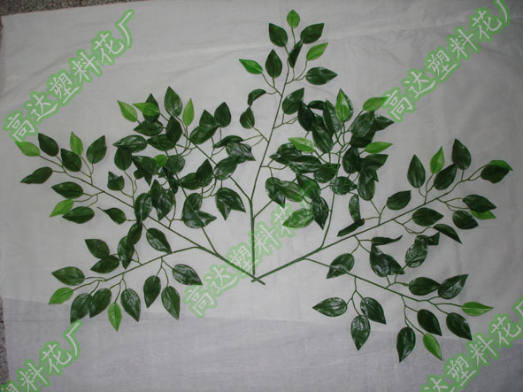 新榕树3