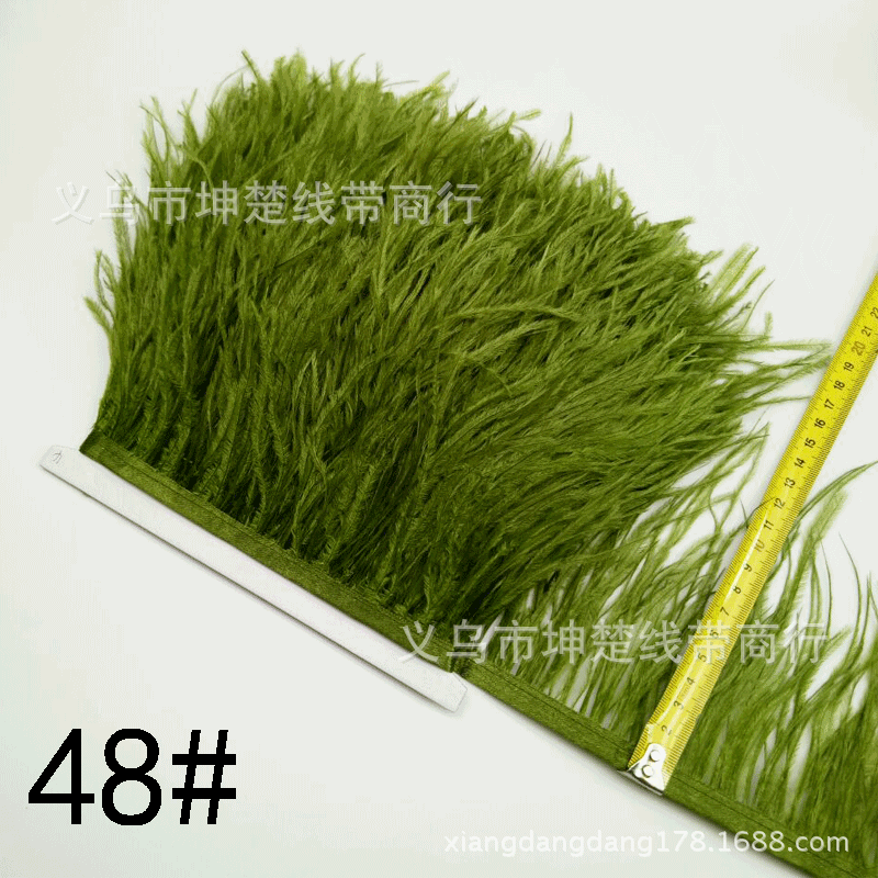 48#1.gif